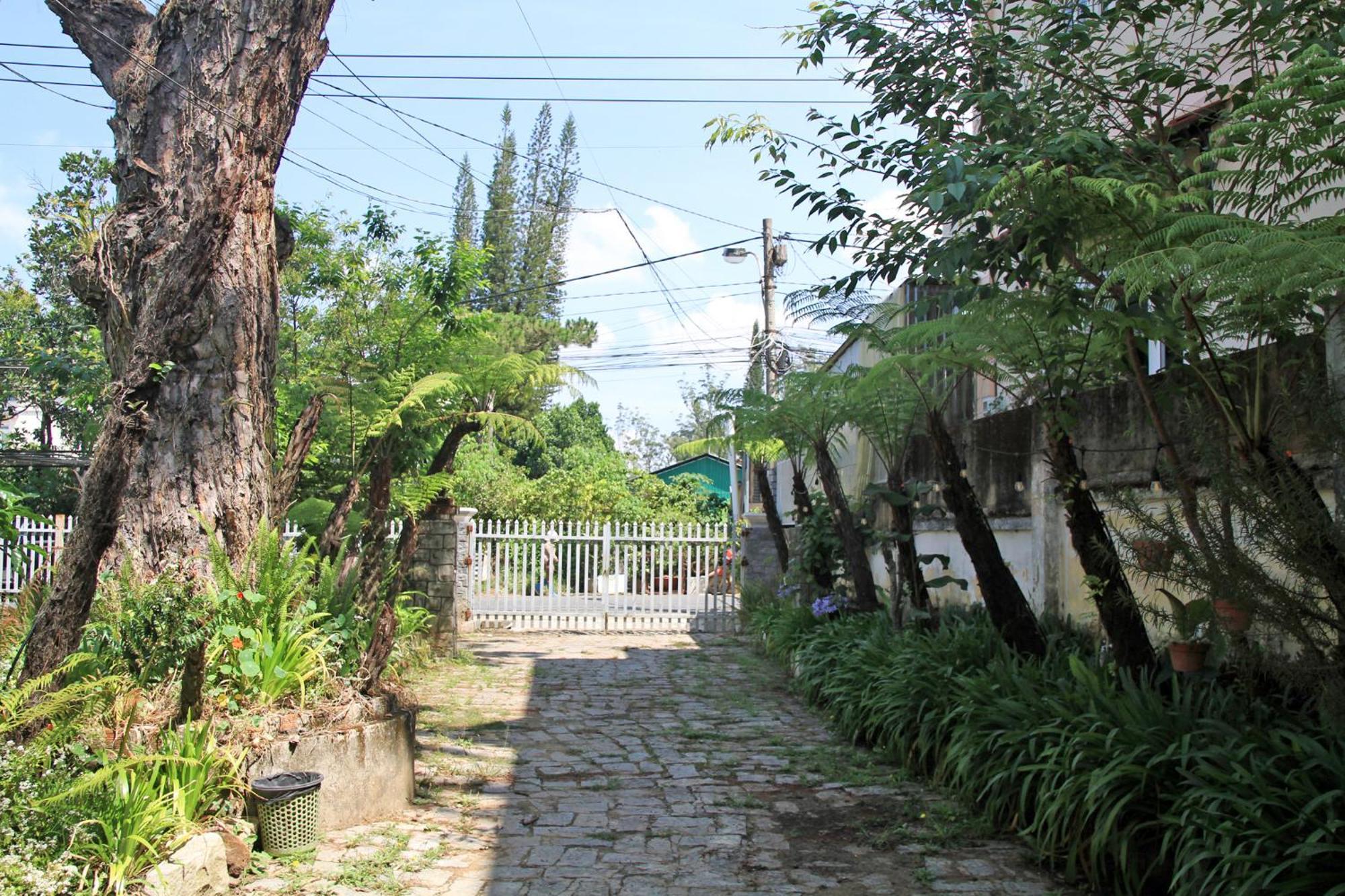 Homestaynhatuiminh ダラット エクステリア 写真